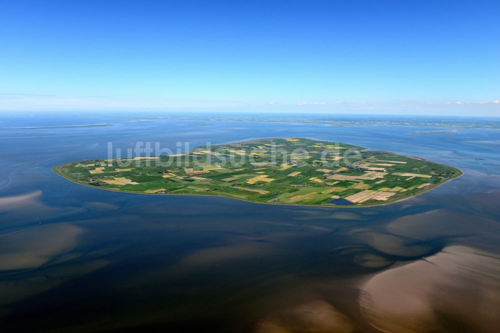 Pellworm von oben - Küstenbereich der Nordsee - Insel in Pellworm im Bundesland Schleswig-Holstein