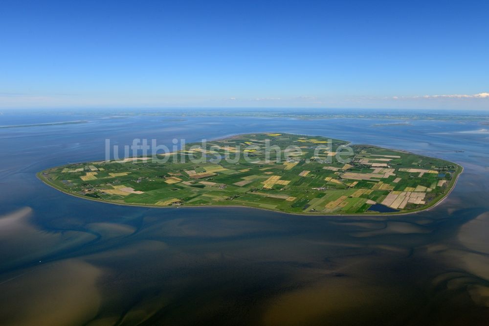 Pellworm aus der Vogelperspektive: Küstenbereich der Nordsee - Insel in Pellworm im Bundesland Schleswig-Holstein