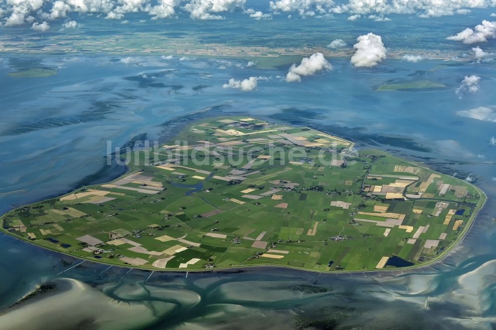 Luftbild Pellworm - Küstenbereich der Nordsee - Insel in Pellworm im Bundesland Schleswig-Holstein