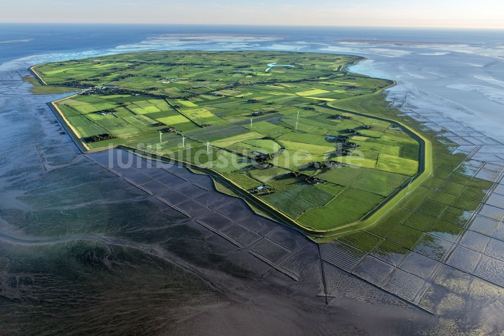 Luftaufnahme Pellworm - Küstenbereich der Nordsee - Insel in Pellworm im Bundesland Schleswig-Holstein