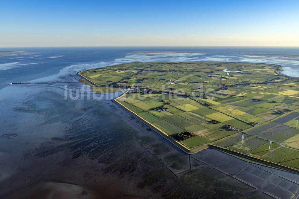 Pellworm von oben - Küstenbereich der Nordsee - Insel in Pellworm im Bundesland Schleswig-Holstein