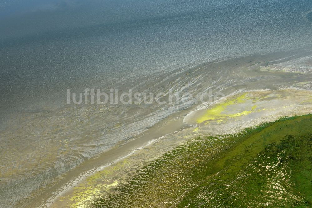 Luftaufnahme Scharhörn - Küstenbereich der Nordsee - Insel in Scharhörn im Bundesland Hamburg