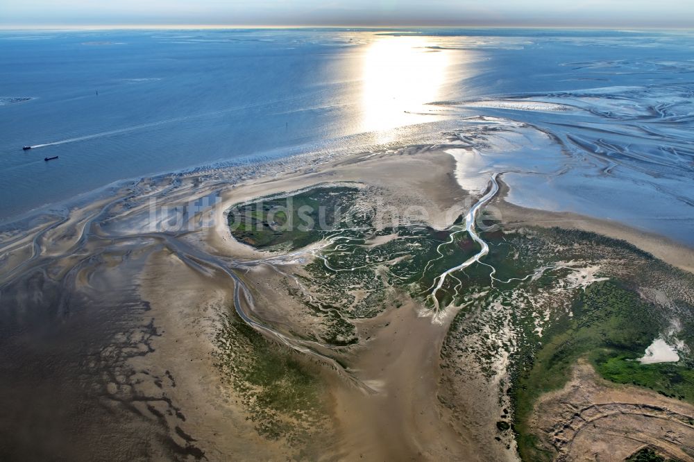 Luftaufnahme Nigehörn - Küstenbereich der Nordsee - Insel in Scharhörn Nigehörn im Bundesland Hamburg