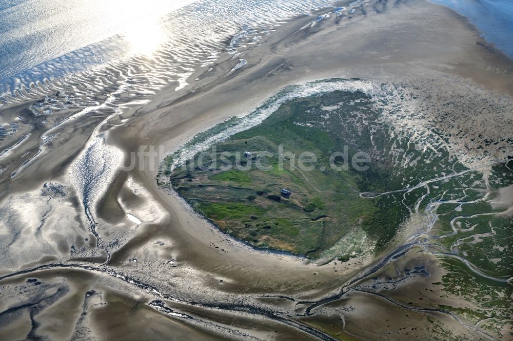 Nigehörn aus der Vogelperspektive: Küstenbereich der Nordsee - Insel in Scharhörn Nigehörn im Bundesland Hamburg