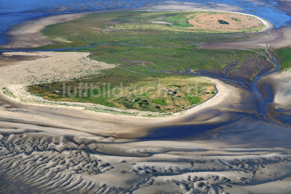 Nigehörn von oben - Küstenbereich der Nordsee - Insel in Scharhörn Nigehörn im Bundesland Hamburg