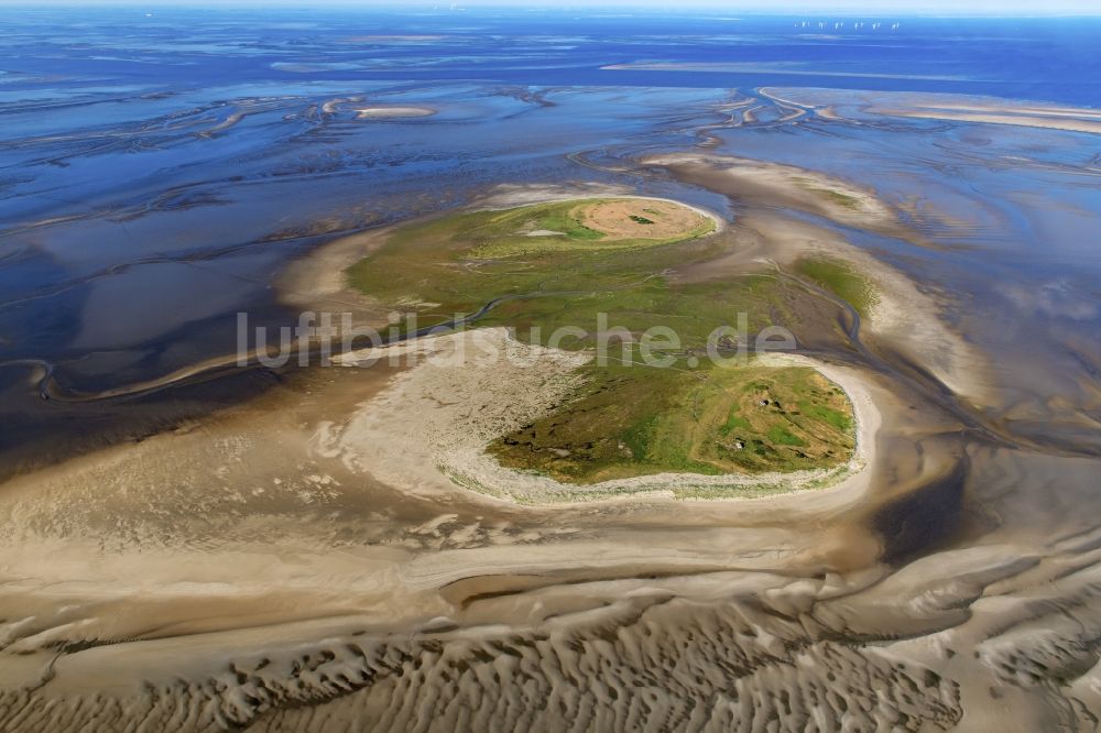 Nigehörn aus der Vogelperspektive: Küstenbereich der Nordsee - Insel in Scharhörn Nigehörn im Bundesland Hamburg