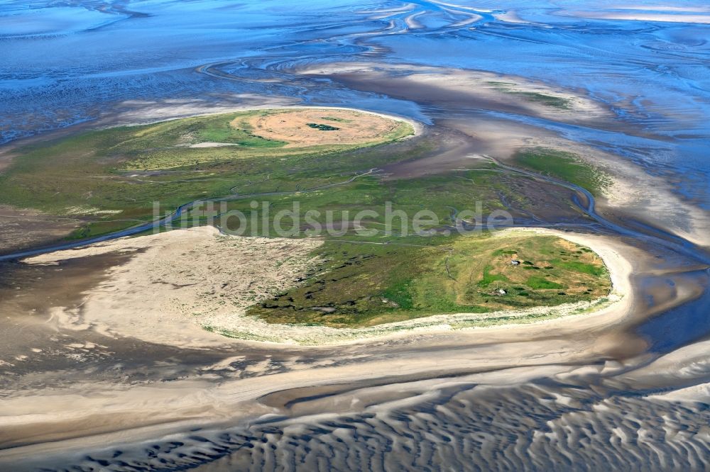 Nigehörn aus der Vogelperspektive: Küstenbereich der Nordsee - Insel in Scharhörn Nigehörn im Bundesland Hamburg