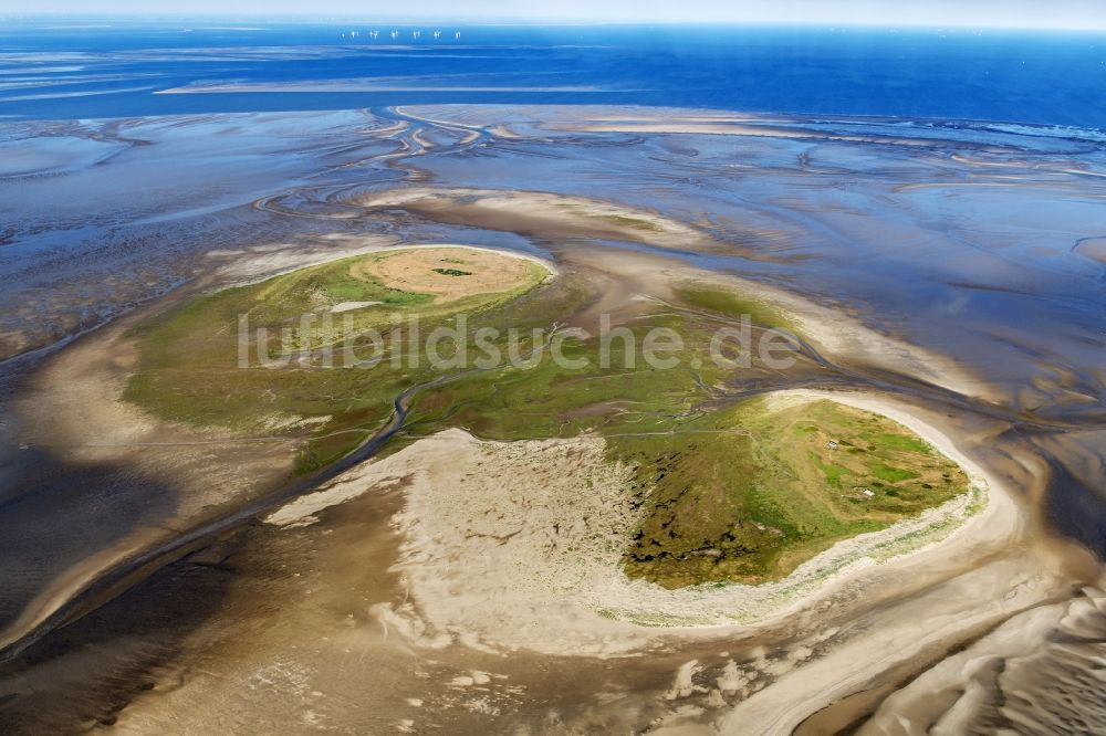 Nigehörn von oben - Küstenbereich der Nordsee - Insel in Scharhörn Nigehörn im Bundesland Hamburg