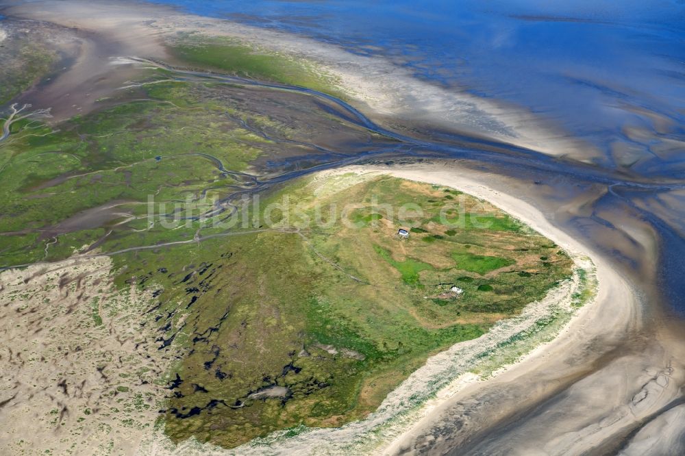 Nigehörn aus der Vogelperspektive: Küstenbereich der Nordsee - Insel in Scharhörn Nigehörn im Bundesland Hamburg