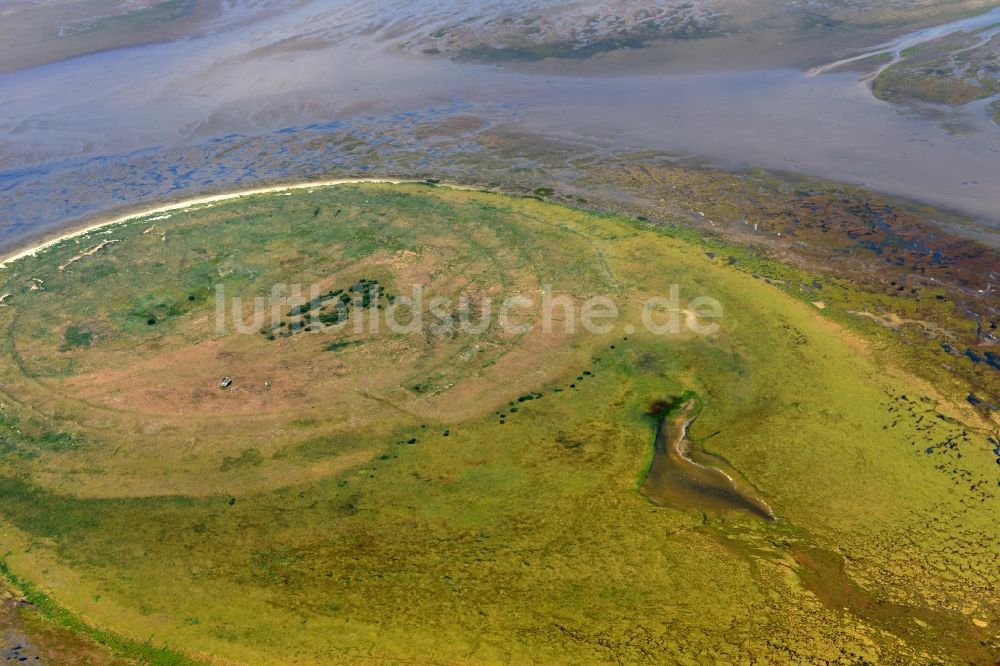 Scharhörn von oben - Küstenbereich der Nordsee - Inseln Nigehörn und Scharhörn