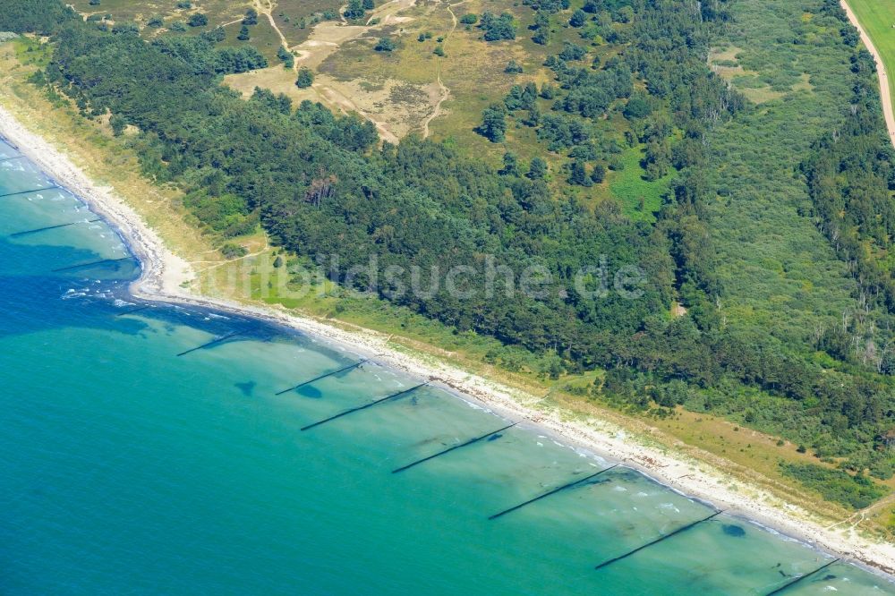 Insel Hiddensee aus der Vogelperspektive: Küstenbereich der Ostsee - Insel Hiddensee im Bundesland Mecklenburg-Vorpommern, Deutschland