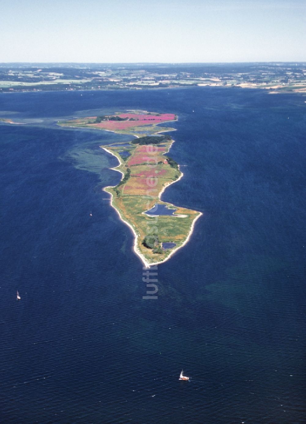 Luftaufnahme Millinge - Küstenbereich der Ostseeinsel Illum - Insel in Millinge in Region Syddanmark, Dänemark