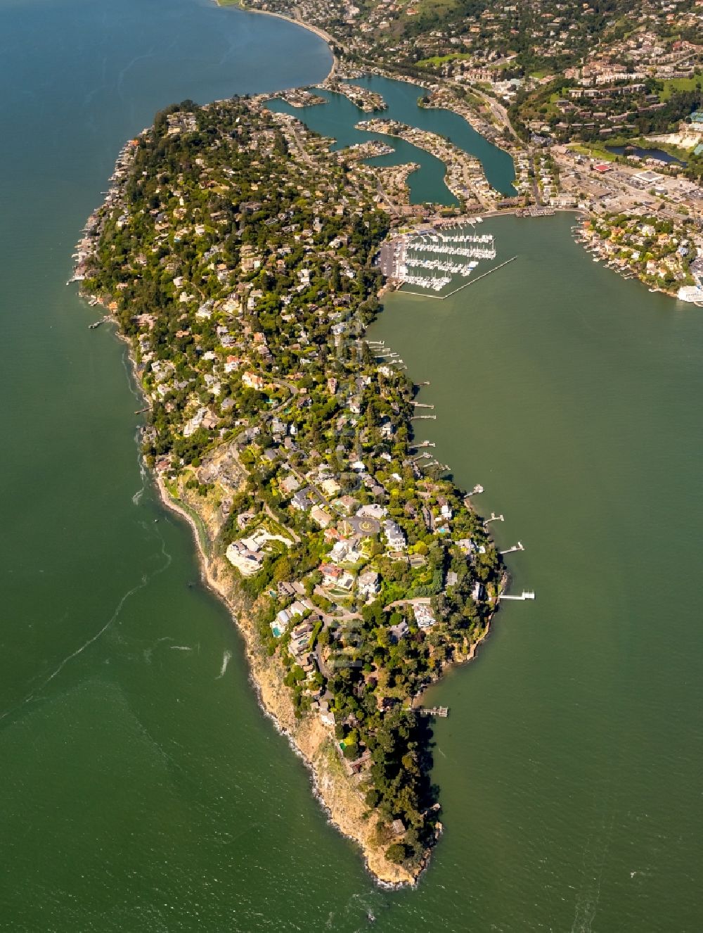 Belvedere Tiburon von oben - Küstenbereich der Richardson Bay - Insel in Belvedere Tiburon in USA