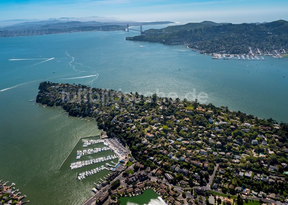 Luftaufnahme Belvedere Tiburon - Küstenbereich der Richardson Bay - Insel in Belvedere Tiburon in USA