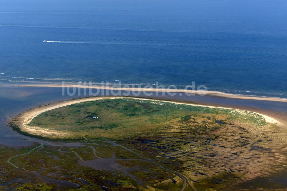 Scharhörn von oben - Küstenbereich der Scharhörn - Insel in Schleswig-Holstein