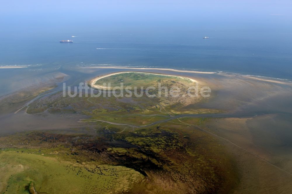 Scharhörn aus der Vogelperspektive: Küstenbereich der Scharhörn - Insel in Schleswig-Holstein