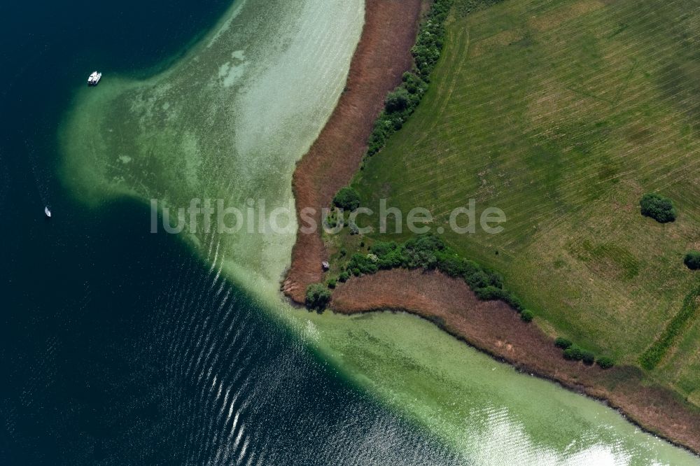 Luftbild Radolfzell am Bodensee - Küstenlandschaft der Halbinsel Mettnau in Radolfzell am Bodensee im Bundesland Baden-Württemberg, Deutschland