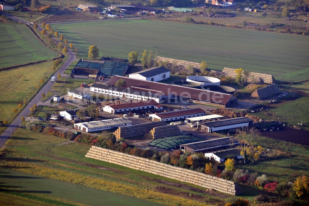 Colbitz von oben - Kuhstall in Colbitz im Bundesland Sachsen-Anhalt