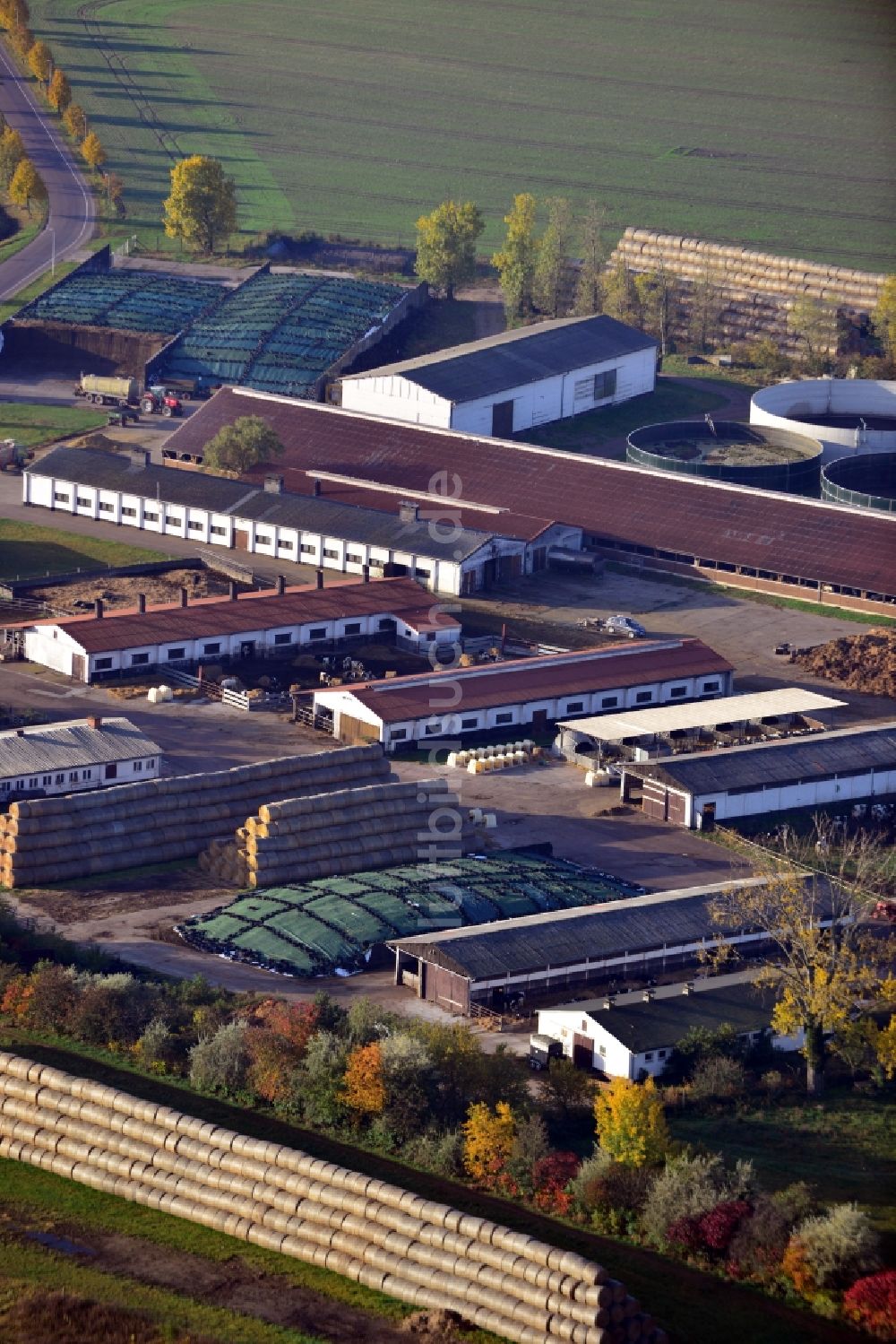 Colbitz aus der Vogelperspektive: Kuhstall in Colbitz im Bundesland Sachsen-Anhalt