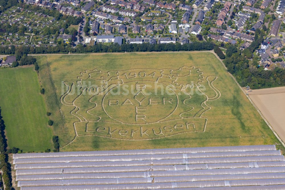 Stadtbezirk 10 aus der Vogelperspektive: Kunst- Installation einer Freilichtskulptur in Stadtbezirk 10 im Bundesland Nordrhein-Westfalen, Deutschland