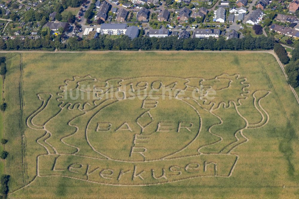 Luftbild Stadtbezirk 10 - Kunst- Installation einer Freilichtskulptur in Stadtbezirk 10 im Bundesland Nordrhein-Westfalen, Deutschland