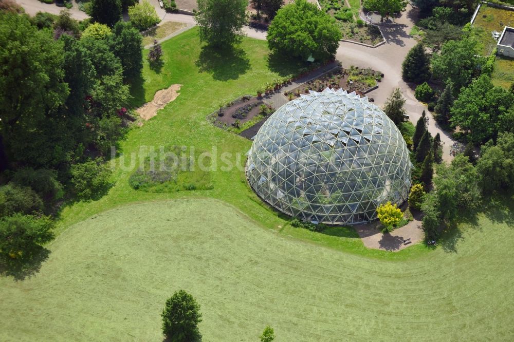 Düsseldorf von oben Kuppel Kaltgewächshaus im