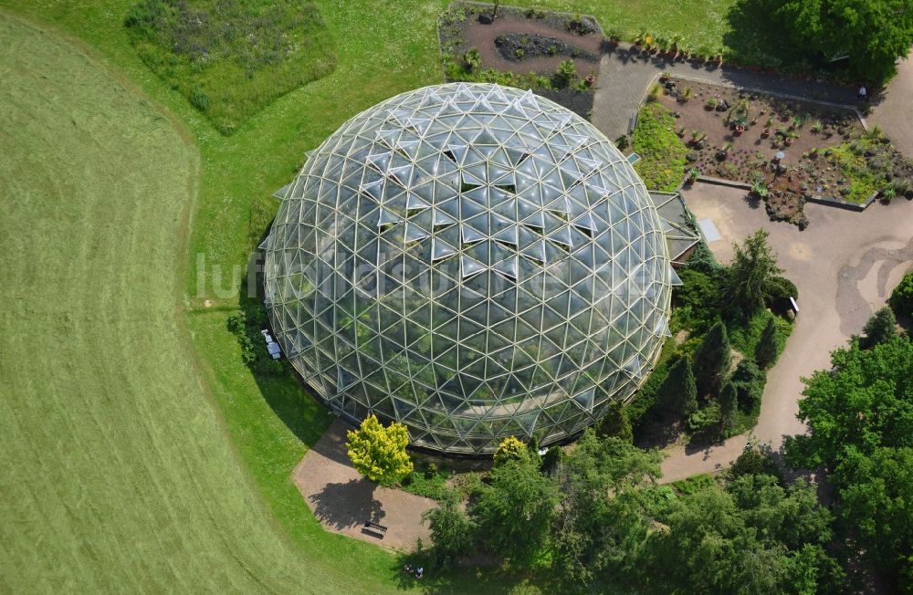 Düsseldorf aus der Vogelperspektive: Kuppel - Kaltgewächshaus im Botanischen Garten der Heinrich-Heine-Universität im Stadtteil Bilk in Düsseldorf im Bundesland Nordrhein-Westfalen