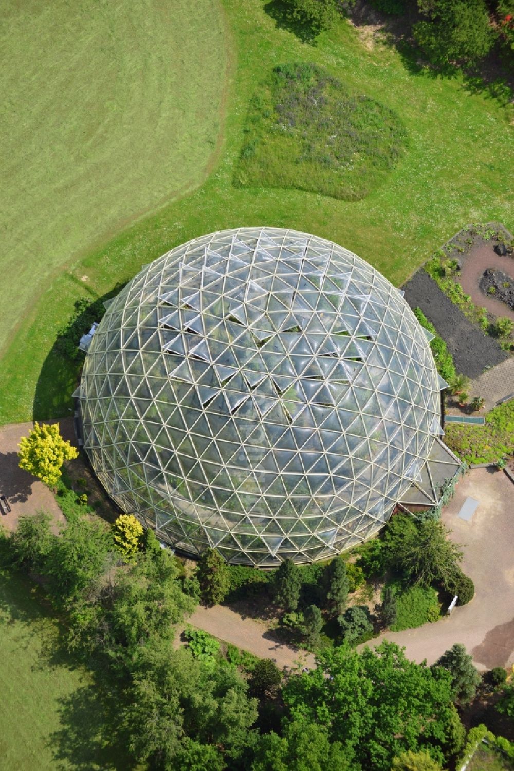 Luftaufnahme Düsseldorf - Kuppel - Kaltgewächshaus im Botanischen Garten der Heinrich-Heine-Universität im Stadtteil Bilk in Düsseldorf im Bundesland Nordrhein-Westfalen