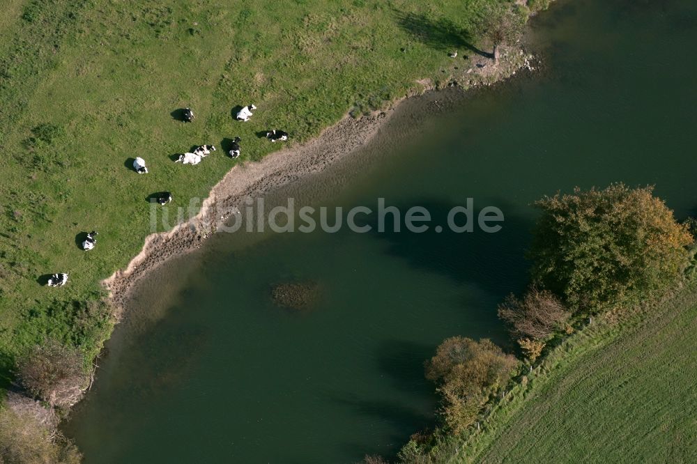 Luftaufnahme Hamm - Kurven und Rundungen im Flußverlauf der Lippe an den Lippewiesen bei Hamm im Bundesland Nordrhein-Westfalen