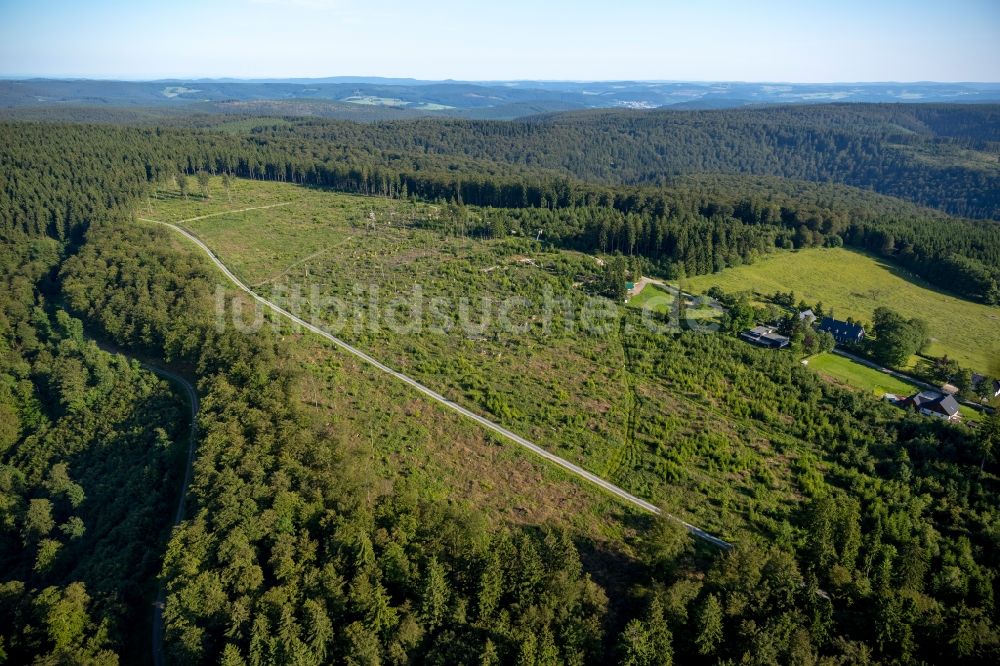 Schmallenberg OT Schanze von oben - Kyrill-Pfad im Ortsteil Schanze in Schmallenberg im Bundesland Nordrhein-Westfalen