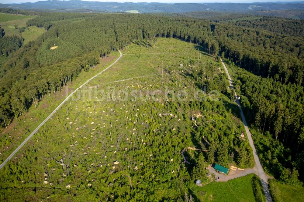 Luftbild Schmallenberg OT Schanze - Kyrill-Pfad im Ortsteil Schanze in Schmallenberg im Bundesland Nordrhein-Westfalen