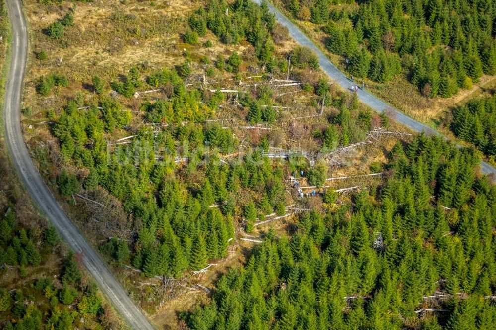 Willingen (Upland) von oben - Kyrill-Pfad im Ortsteil Schanze in Schmallenberg im Bundesland Nordrhein-Westfalen