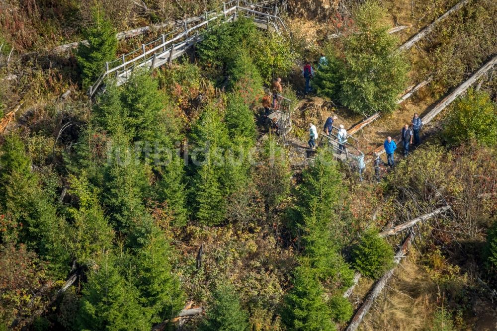 Willingen (Upland) aus der Vogelperspektive: Kyrill-Pfad im Ortsteil Schanze in Schmallenberg im Bundesland Nordrhein-Westfalen