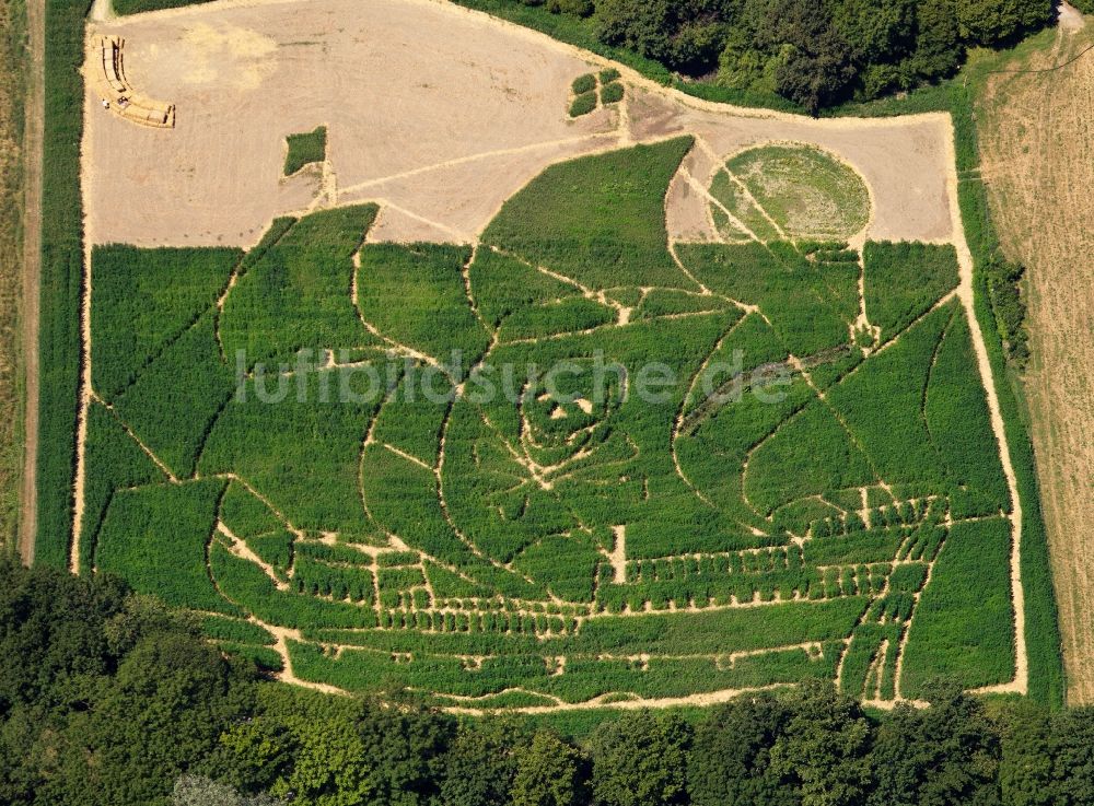 Utting am Ammersee aus der Vogelperspektive: Labyrinth aus Hanf und Sonnenblumen mit Piratenschiffmotiv in Utting am Ammersee im Bundesland Bayern