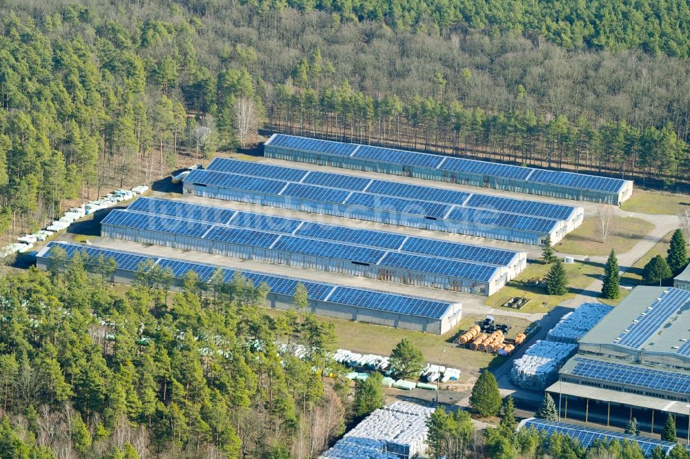 Luftaufnahme Hangelsberg - Lagerhauskomplex- Gebäude im Gewerbegebiet in Hangelsberg im Bundesland Brandenburg, Deutschland