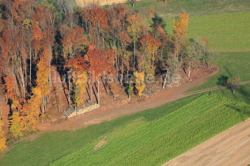 Maulburg aus der Vogelperspektive: Lagerplatz für Holz in Maulburg im Bundesland Baden-Württemberg