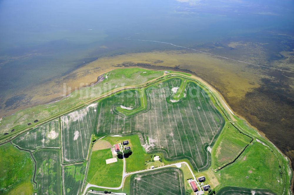 Lieschow von oben - Landhotel & Restaurant Kiebitzort in Lieschow auf der Insel Rügen in Mecklenburg-Vorpommern