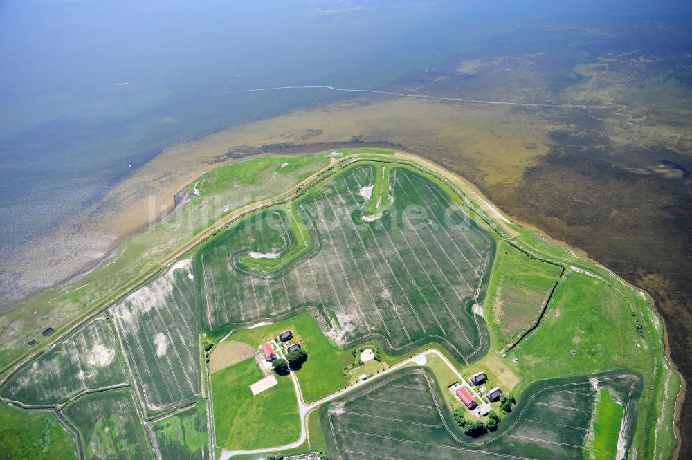 Lieschow aus der Vogelperspektive: Landhotel & Restaurant Kiebitzort in Lieschow auf der Insel Rügen in Mecklenburg-Vorpommern