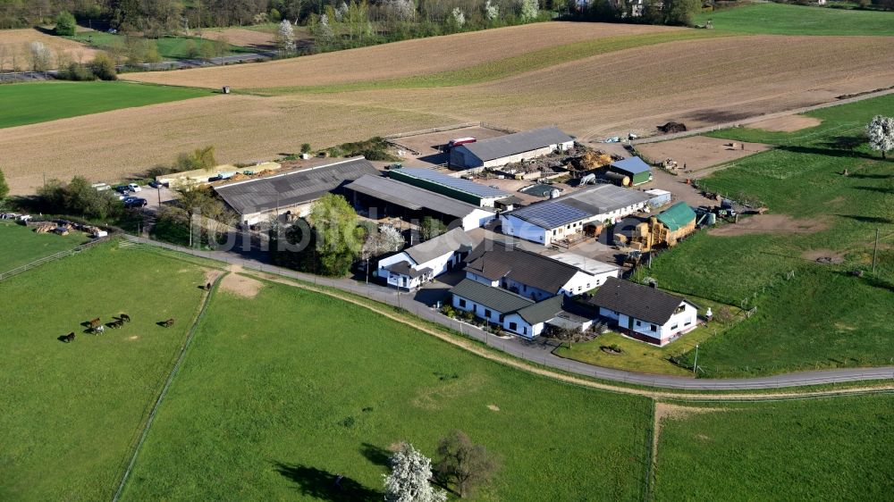 Königswinter aus der Vogelperspektive: Landmetzgerei Klein in Königswinter im Bundesland Nordrhein-Westfalen, Deutschland