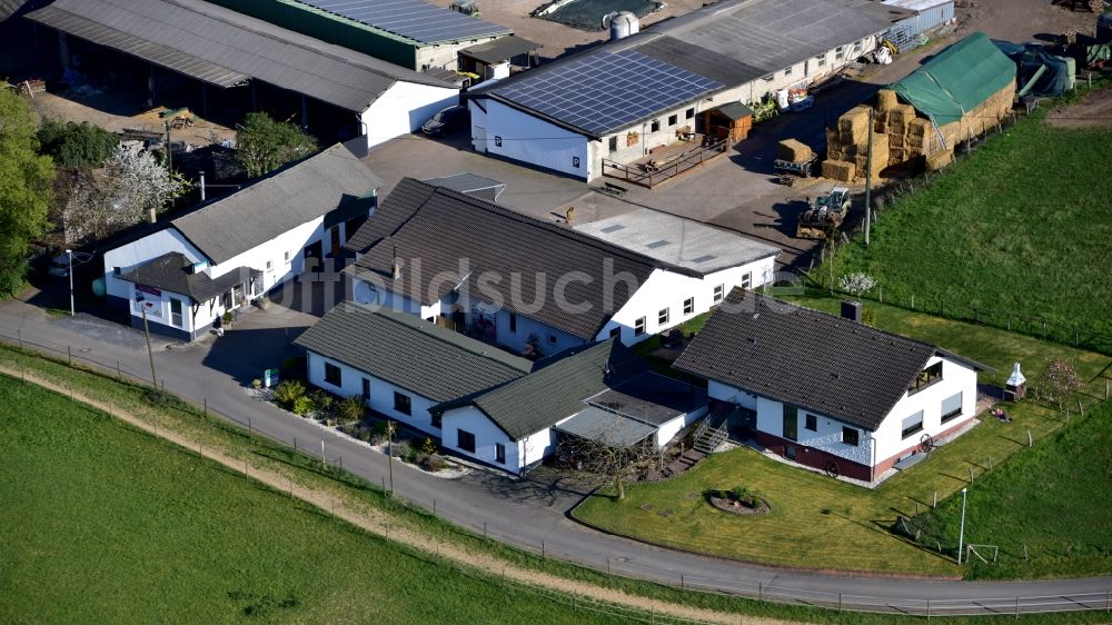 Königswinter von oben - Landmetzgerei Klein in Königswinter im Bundesland Nordrhein-Westfalen, Deutschland