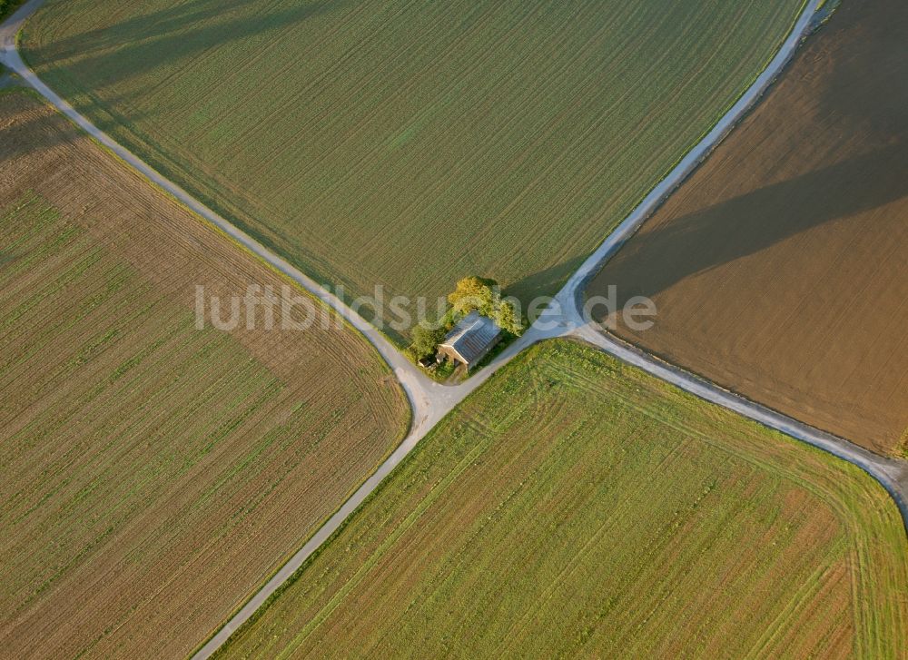 Luftbild Meschede - Landschaft von angrenzenden Feldern mit Baumgruppe am Stadtrand von Meschede im Bundesland Nordrhein-Westfalen