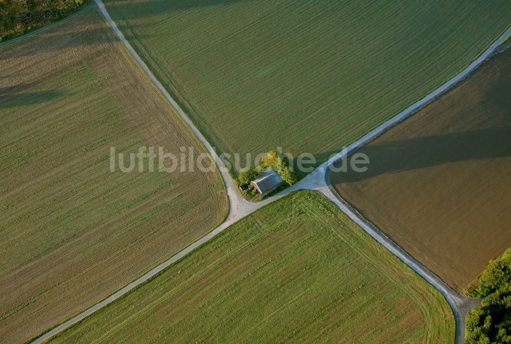 Luftaufnahme Meschede - Landschaft von angrenzenden Feldern mit Baumgruppe am Stadtrand von Meschede im Bundesland Nordrhein-Westfalen