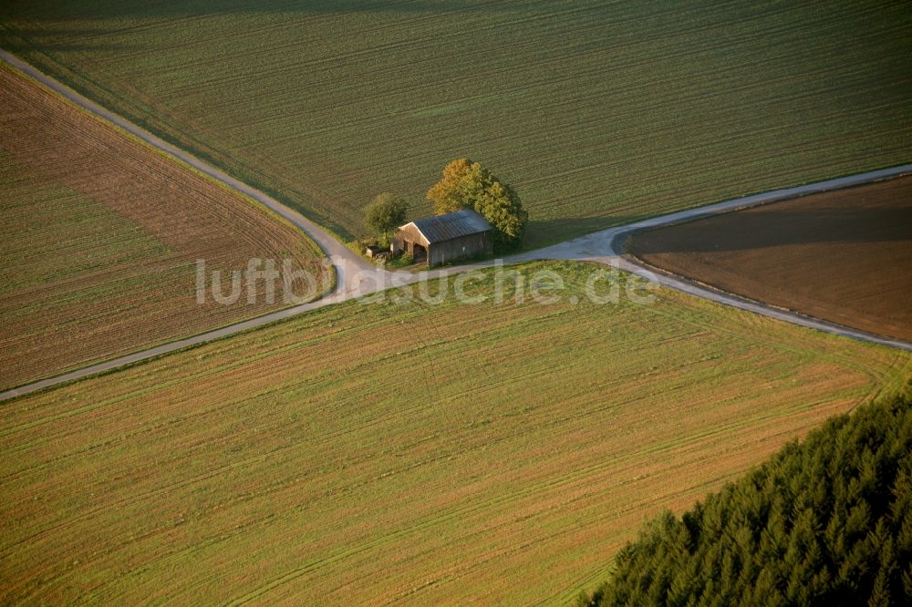 Luftbild Meschede - Landschaft von angrenzenden Feldern mit Baumgruppe am Stadtrand von Meschede im Bundesland Nordrhein-Westfalen