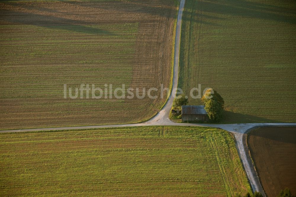 Luftaufnahme Meschede - Landschaft von angrenzenden Feldern mit Baumgruppe am Stadtrand von Meschede im Bundesland Nordrhein-Westfalen