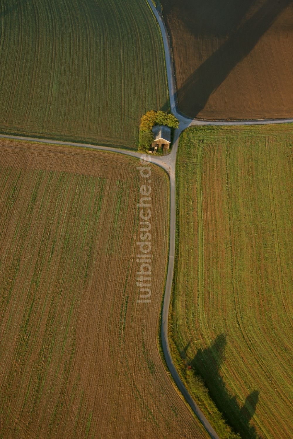 Meschede von oben - Landschaft von angrenzenden Feldern mit Baumgruppe am Stadtrand von Meschede im Bundesland Nordrhein-Westfalen