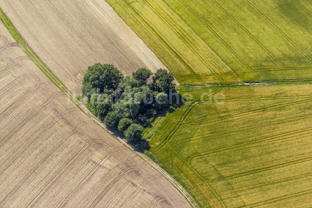 Luftbild Datteln - Landschaft einer Baumgruppe in Herzform mit Feldern und Wegen bei Datteln in Nordrhein-Westfalen