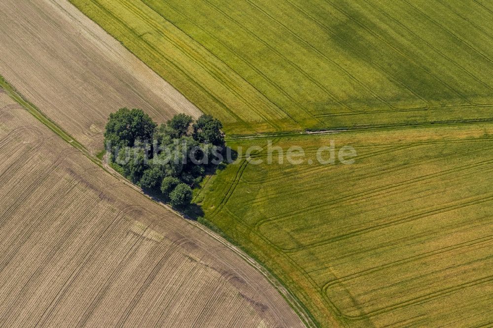 Datteln von oben - Landschaft einer Baumgruppe in Herzform mit Feldern und Wegen bei Datteln in Nordrhein-Westfalen