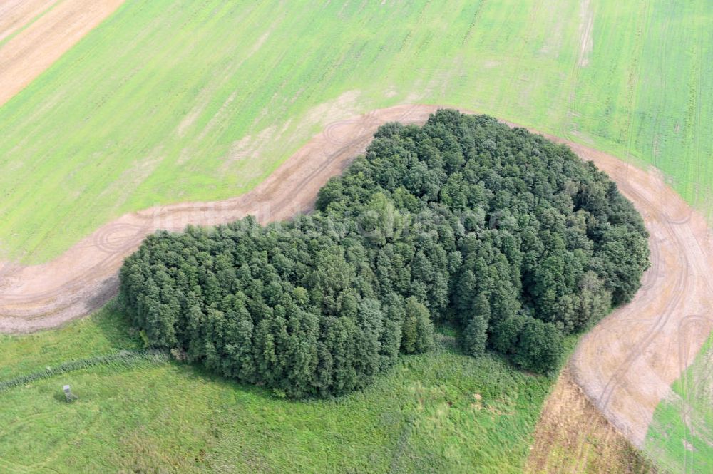 Luftbild Zschepplin - Landschaft bei Zschepplin