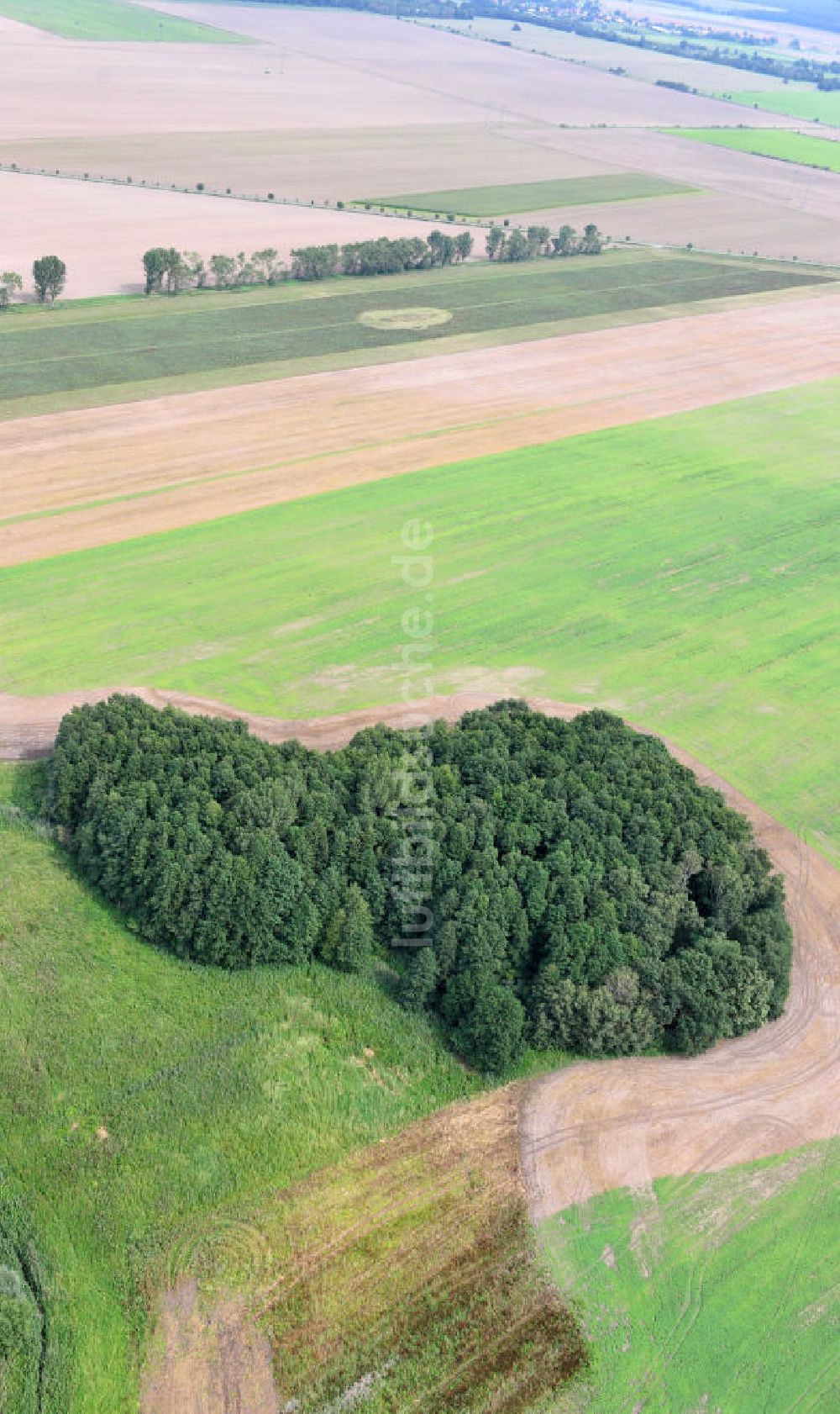 Luftaufnahme Zschepplin - Landschaft bei Zschepplin