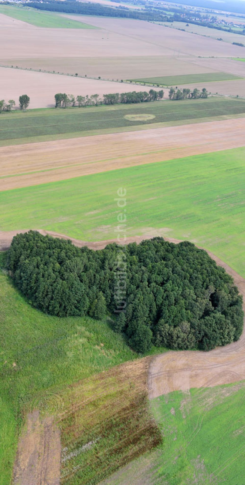 Zschepplin von oben - Landschaft bei Zschepplin